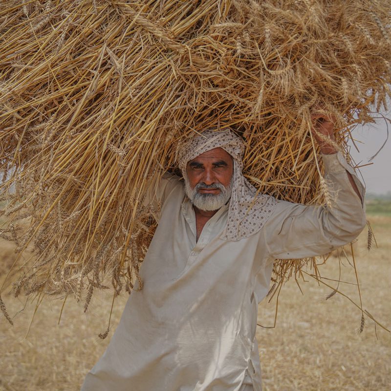 aim-agri aim-agri